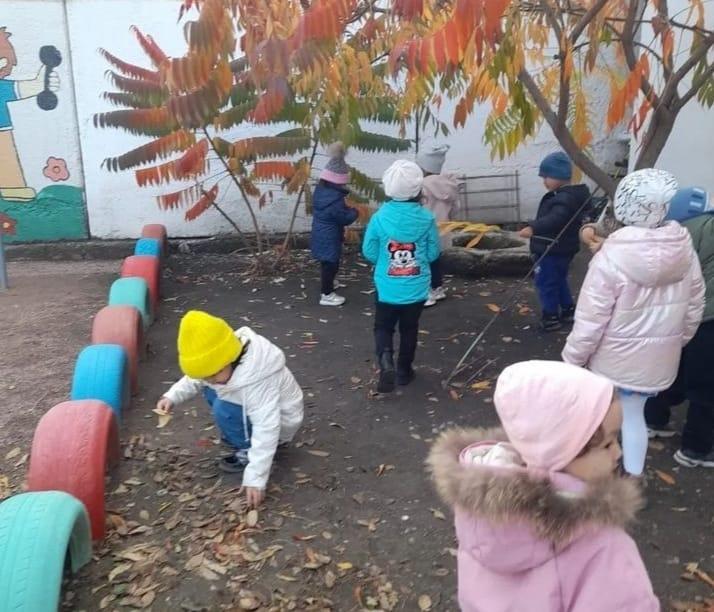 "Қарлығаш"ортаңғы топ Серуен кезіндегі бақылау "Күзгі ағаштар"