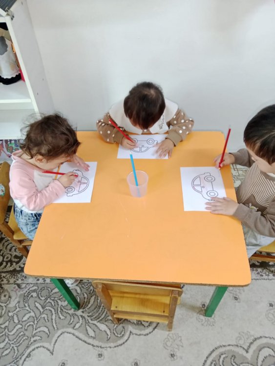 "Балапан" кіші топ.   Ұйымдастырылған іс-әрекет